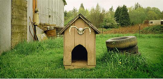 国行《马里奥卡丁车实况：家庭赛车场》即将推出 现已开启预售